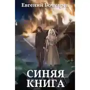 Постер книги Синяя книга