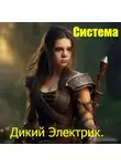 Дикий Электрик - Система