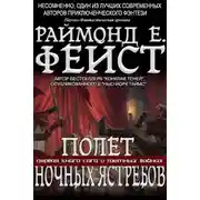 Постер книги Полёт Ночных Ястребов