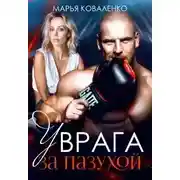 Постер книги У врага за пазухой