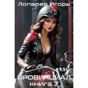 Постер книги Провинциал. Книга 7