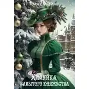 Постер книги Хозяйка забытого княжества, или Новогодье в замке Дракона