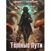 Постер книги Темные Пути