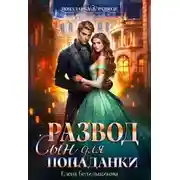 Постер книги Развод. Сын для попаданки