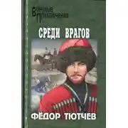 Постер книги На скалах и долинах Дагестана. Среди врагов