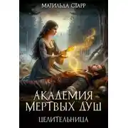 Постер книги Академия мертвых душ. Целительница