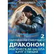 Постер книги Круг Стихий