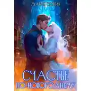 Постер книги Счастье по-новогоднему