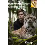 Постер книги Рысюхин, налейте для храбрости!