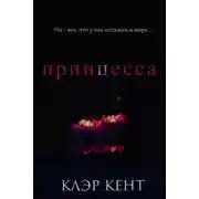 Постер книги Принцесса