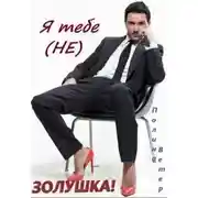 Постер книги Я тебе не Золушка!