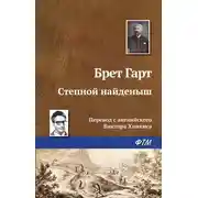 Постер книги Степной найденыш