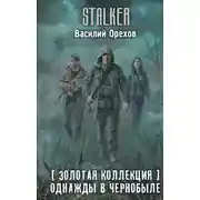 Постер книги Однажды в Чернобыле