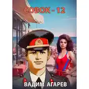 Постер книги Совок 12