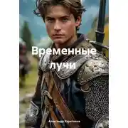 Постер книги Временные лучи