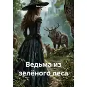 Постер книги Ведьма из зелёного леса
