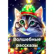 Постер книги Волшебные рассказы
