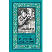 Постер книги За золотым призраком
