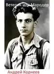 Андрей Корнеев - Ветеран или Мародер