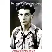 Постер книги Ветеран или Мародер