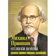 Постер книги Отзвуки войны. Жизнь после Первой мировой