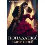 Постер книги Попаданка в мир теней