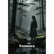 Постер книги Каменка
