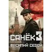 Постер книги Санек 3