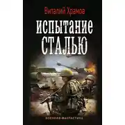 Постер книги Испытание сталью
