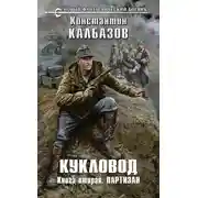 Постер книги Партизан