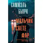 Постер книги Мальчик в свете фар