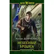 Постер книги Небесный бродяга