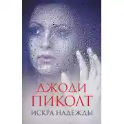 Постер книги Искра надежды