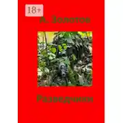 Постер книги Разведчики. Приключения