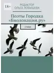 Сергей Соколов - Поэты Городка «Биолокация.ру». Стихи