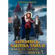Постер книги Берегитесь, адептка Тайлэ! или Как уберечь инкуба