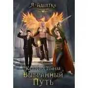 Постер книги Выбранный путь