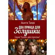 Постер книги Два принца для Золушки