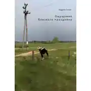 Постер книги Ощущение близкого праздника