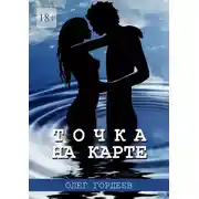 Постер книги Точка на карте
