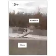 Постер книги Побочки