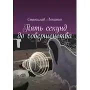Постер книги Пять секунд до совершенства