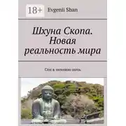 Постер книги Шхуна Скопа. Новая реальность мира. Сон в зимнюю ночь