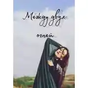 Постер книги Между двух огней