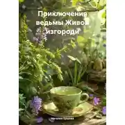Постер книги Приключения ведьмы Живой изгороди