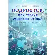 Постер книги Подросток, или Теория разбитых стёкол