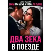 Постер книги МЖМ при муже. Измена по пьяни. Два зека в поезде