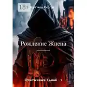 Постер книги Отмеченный тьмой – 1. Рождение Жнеца
