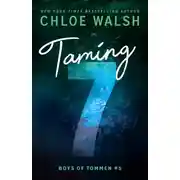 Постер книги Укрощение 7-го