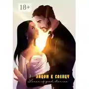 Постер книги Лицом к солнцу